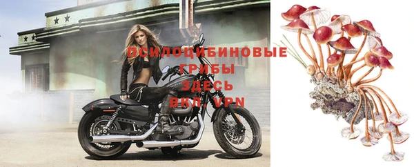 герыч Няндома