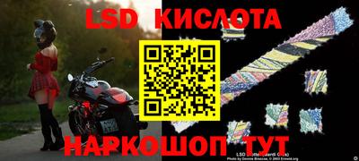 прущие грибы Кунгур