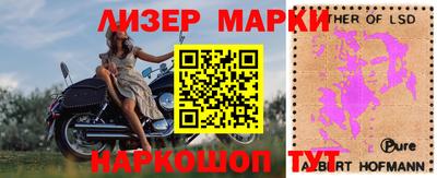 прущие грибы Кунгур
