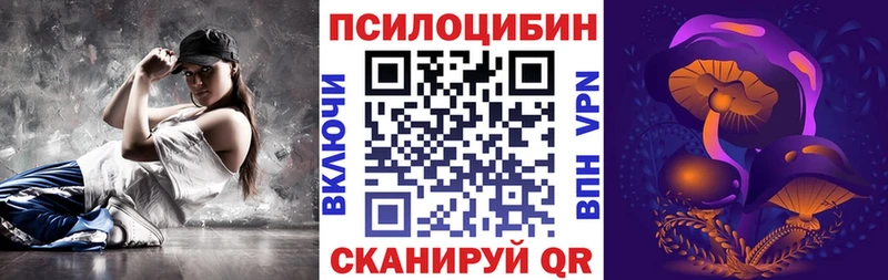 наркота Хасавюрт Псилоцибиновые грибы Magic Shrooms