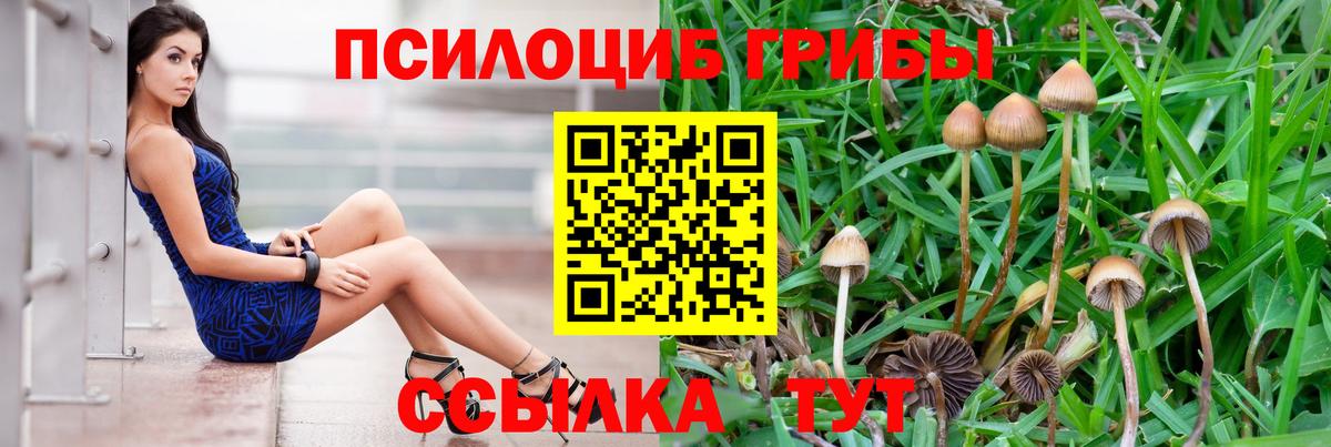 Псилоцибиновые грибы мицелий Хасавюрт
