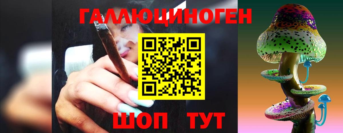 наркота  Псилоцибиновые грибы Cubensis  Псилоцибиновые грибы Psilocybe  Вход с VPN  Хасавюрт 