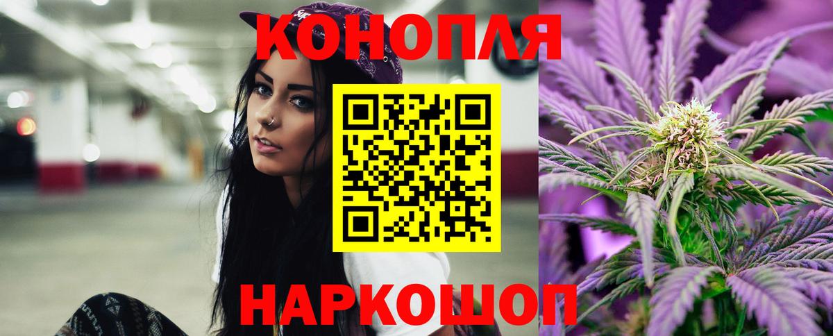 Конопля сатива Хасавюрт